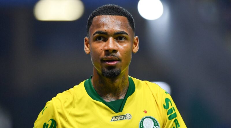 Allan, do Palmeiras (Foto: Imago)