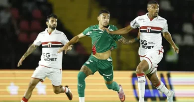 Riquelme Fillipi, do Palmeiras, em ação contra o Botafogo-SP, pelo Campeonato Brasileiro - Foto: Thiago Calil/AGIF